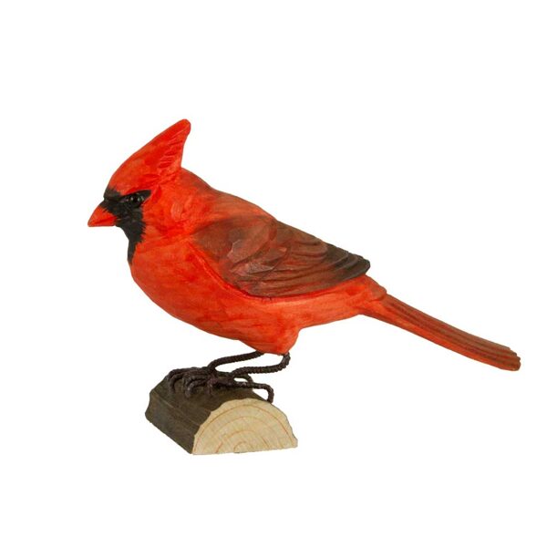 Cardinal rouge à poser